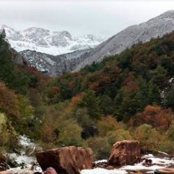 Los Argüellos Reserva de la Biosfera