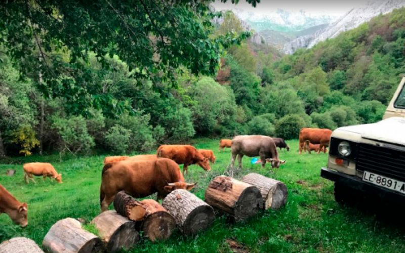 Imágenes de Apartamentos La Braña