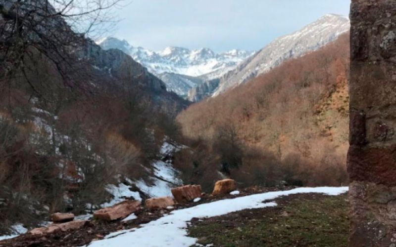 Imágenes de Apartamentos La Braña