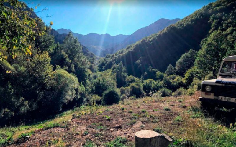 Imágenes de Apartamentos La Braña